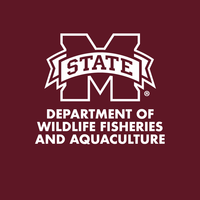 WFA Logo