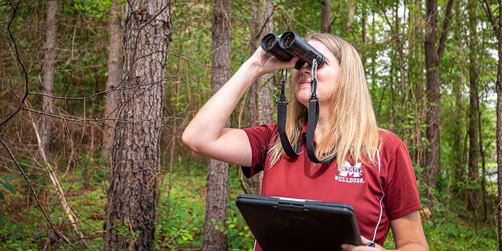 The Tombigbee Forest Bird Partnership Helps Bird Conservation Soar in Working Forests
